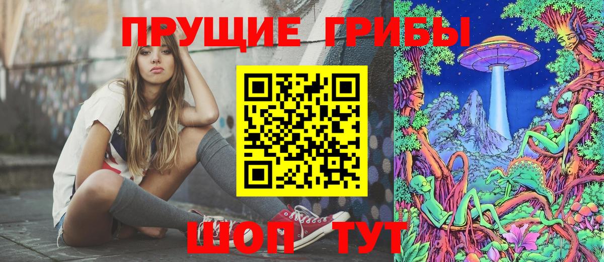 Жуковский  купить закладку  Вход с VPN  Галлюциногенные грибы мухоморы  Псилоцибиновые грибы GOLDEN TEACHER 
